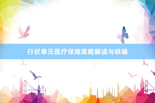 行状单元医疗保障策略解读与哄骗